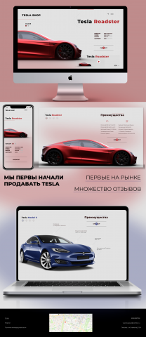 Tesla shop
