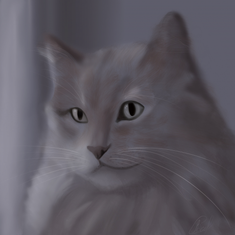 siberian
