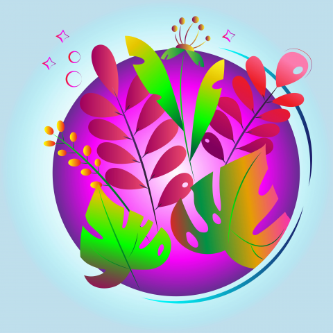 flat iilustrations