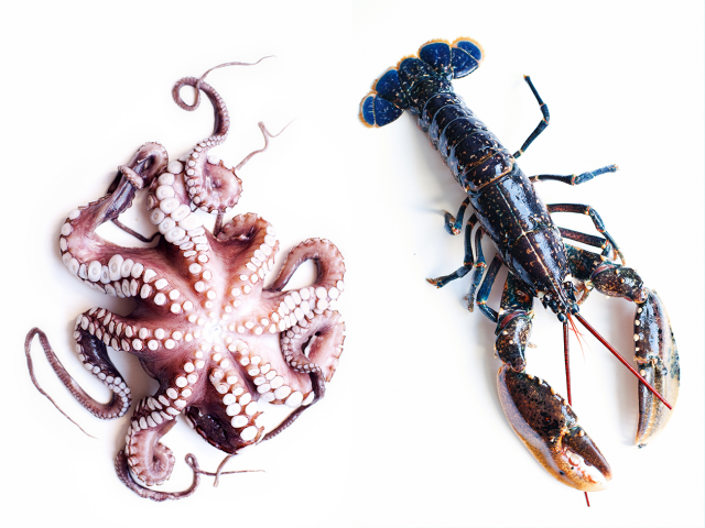 Работа 3354416