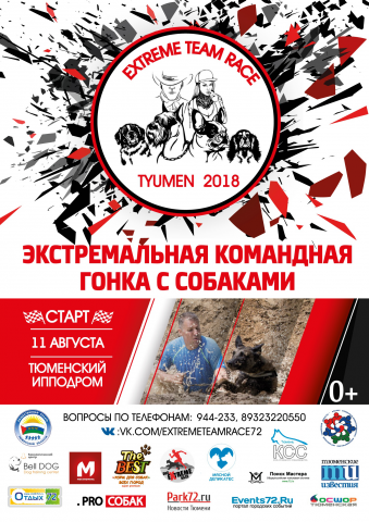 Дизайн Афиши