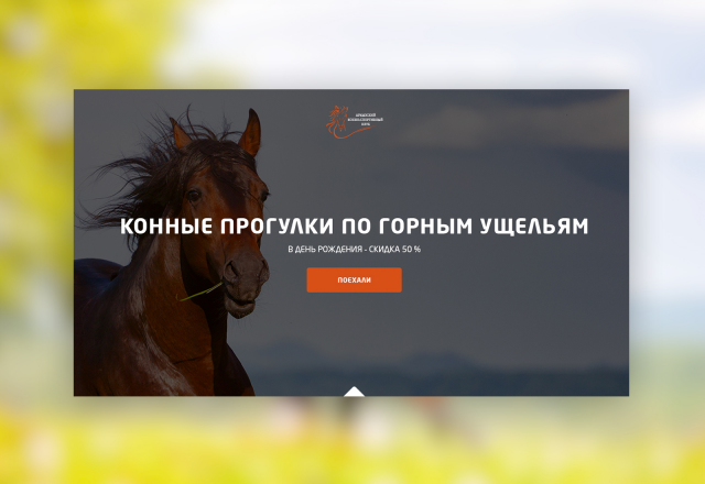 Конные прогулки по горным ущельям