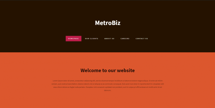 MetroBiz