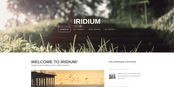 Iridium