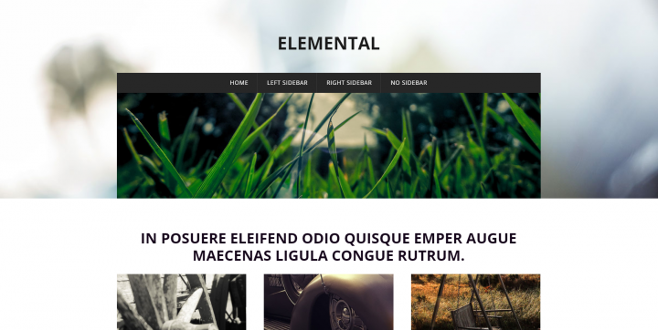 Elemental