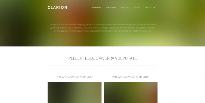 Clarion