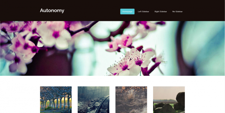 Autonomy