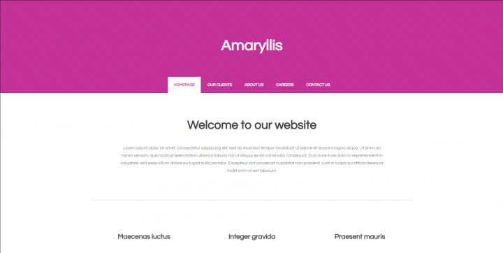 Amaryllis