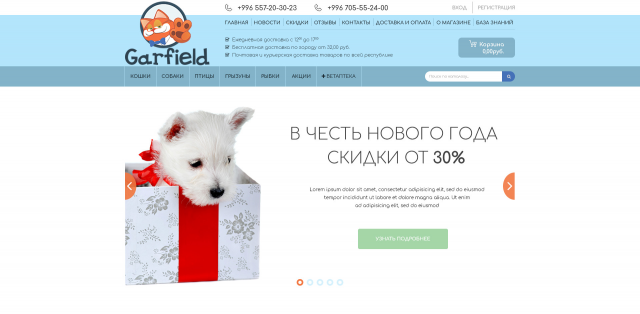 Гарфилд