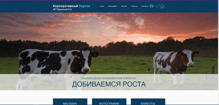 Сайт под ИП Пронин Н.А.