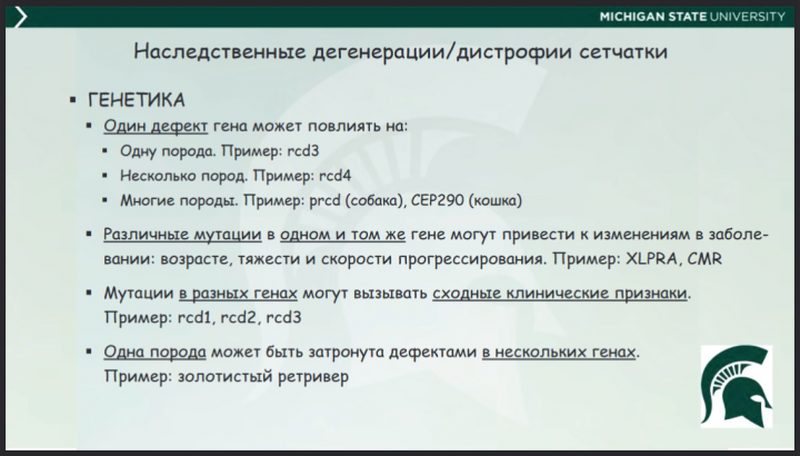 Работа 4069594