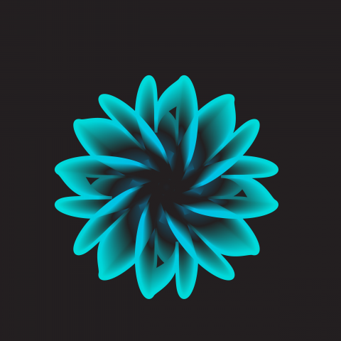 Flower 3D