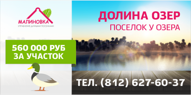 Работа 3174303