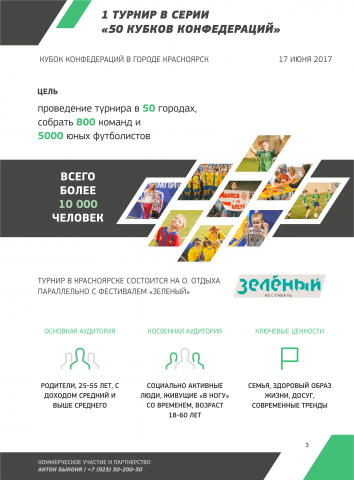 Работа 3174306