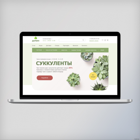 Редизайн интернет-магазина Дарвин