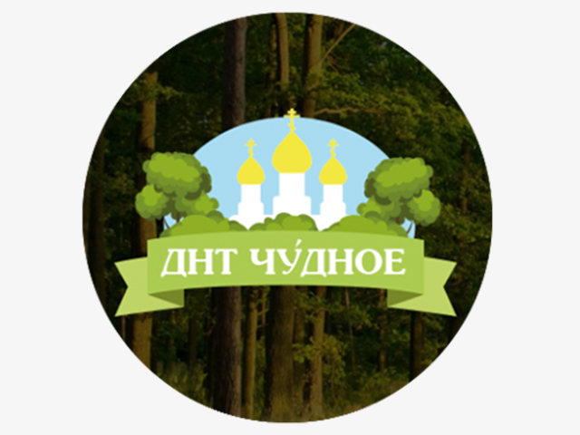 Фирменный стиль «ДНТ Чудное»