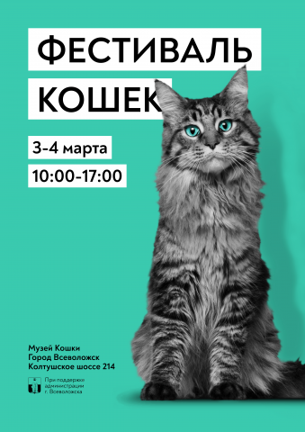Фестиваль кошек