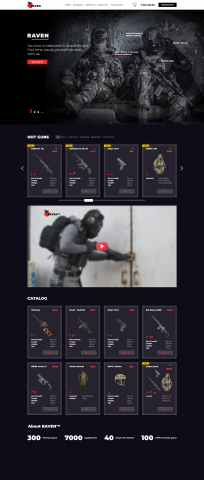 Hero page - RAVEN