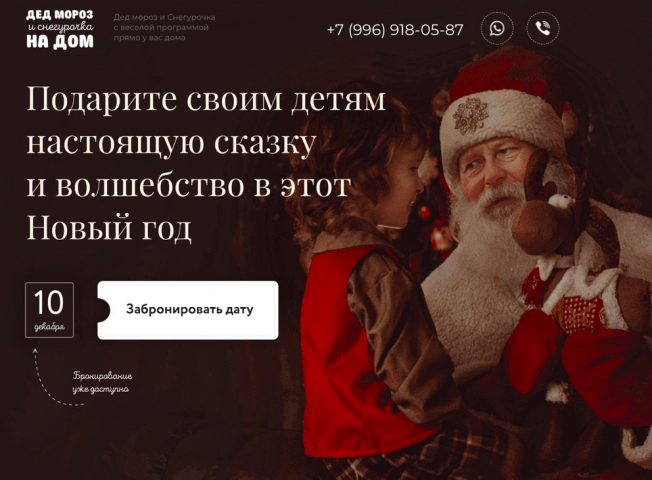 Дед мороз на дом