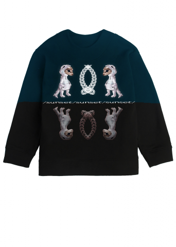 /sunset/ Двуличие