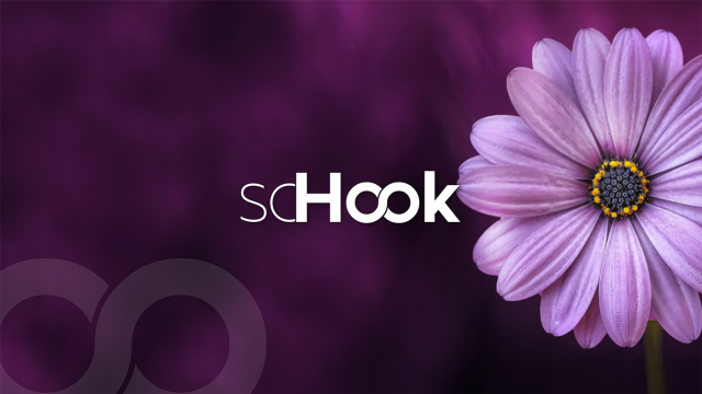 SoHook
