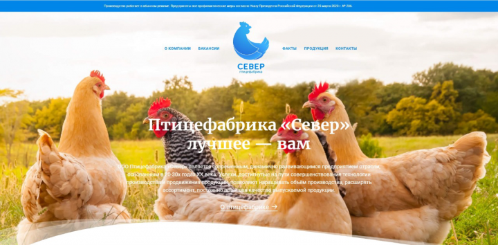 Разработка сайта "под ключ" Птицефабрика Север.
