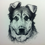 Музыка к документальному фильму "Каждая собака"