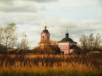 Работа 2350568