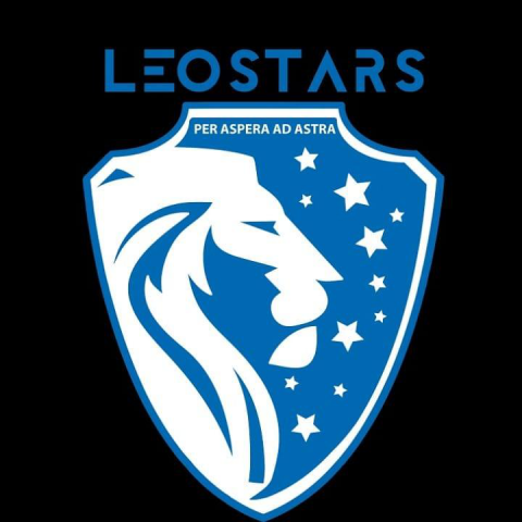 Эмблема для детской футбольной академии LeoStars