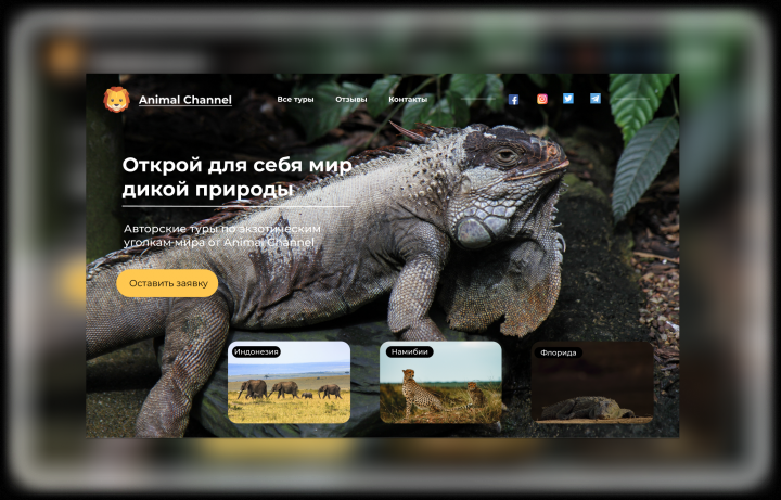 Animal Channel