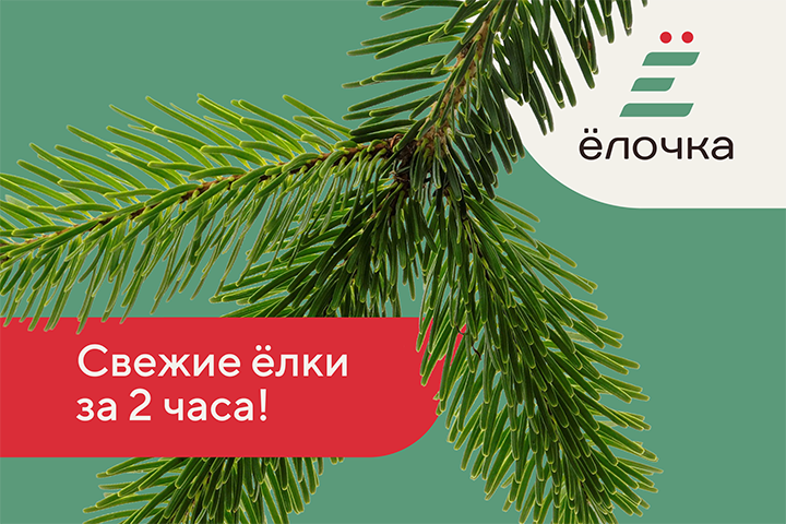 Елочка