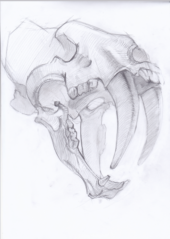 Саблезубый тигр