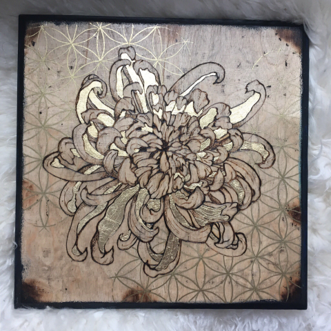 Хризантема