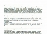 Работа 2556818