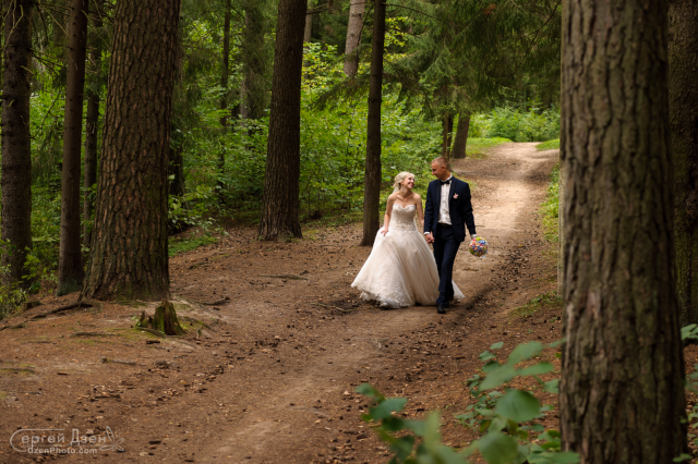 Работа 3456412