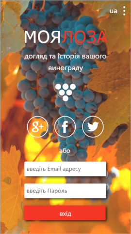 Моя лоза