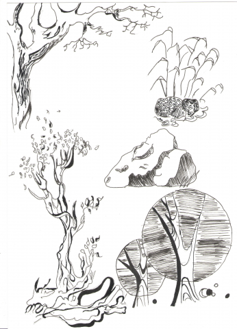 Графика. Линер