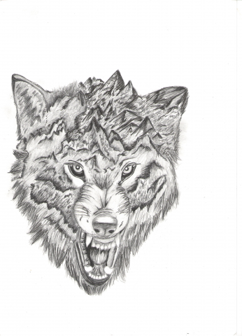 Эскиз татуировки .Простой карандаш,линер