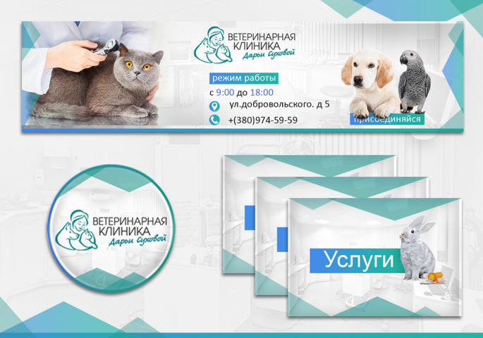 Оформление соц. сети ветеринарной