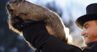It’s Groundhog Day... Again