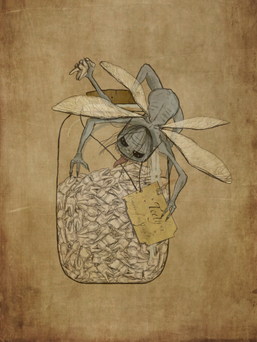 Tooth Fairy