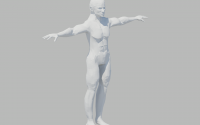 Human