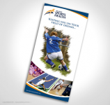 Фирменный стиль для американской компании 2007 год.