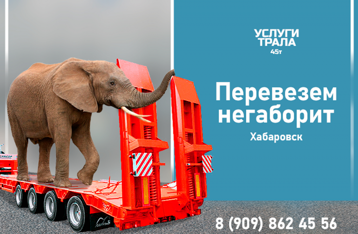 Баннеры