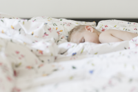 Работа 3056797