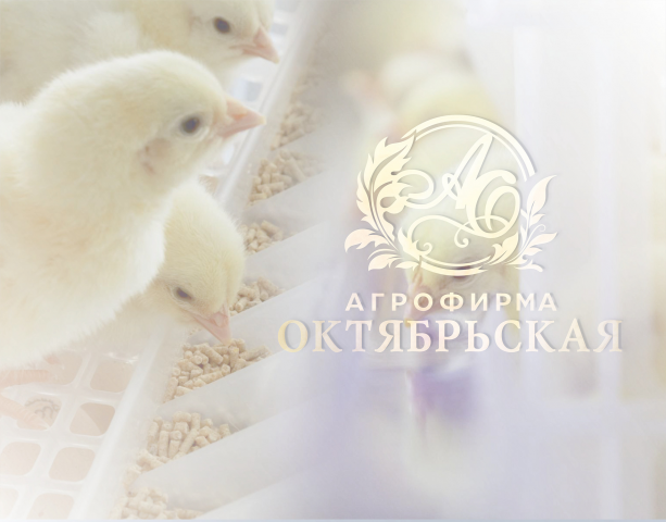 Логотип для  агрофирмы Октябрьская