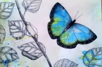 Акварель, дотарт