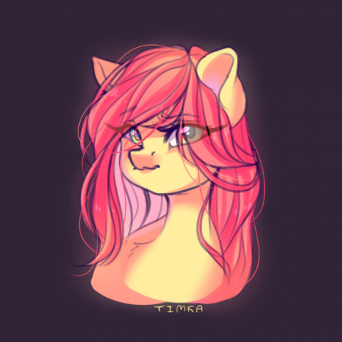MLP