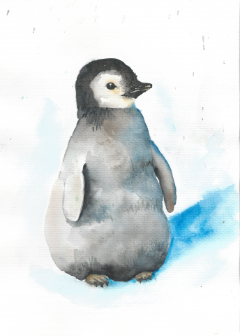 иллюстрация акварельная Пингвин