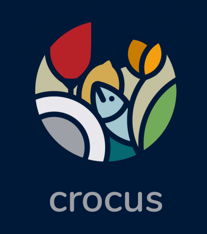 логотип для компании crocus